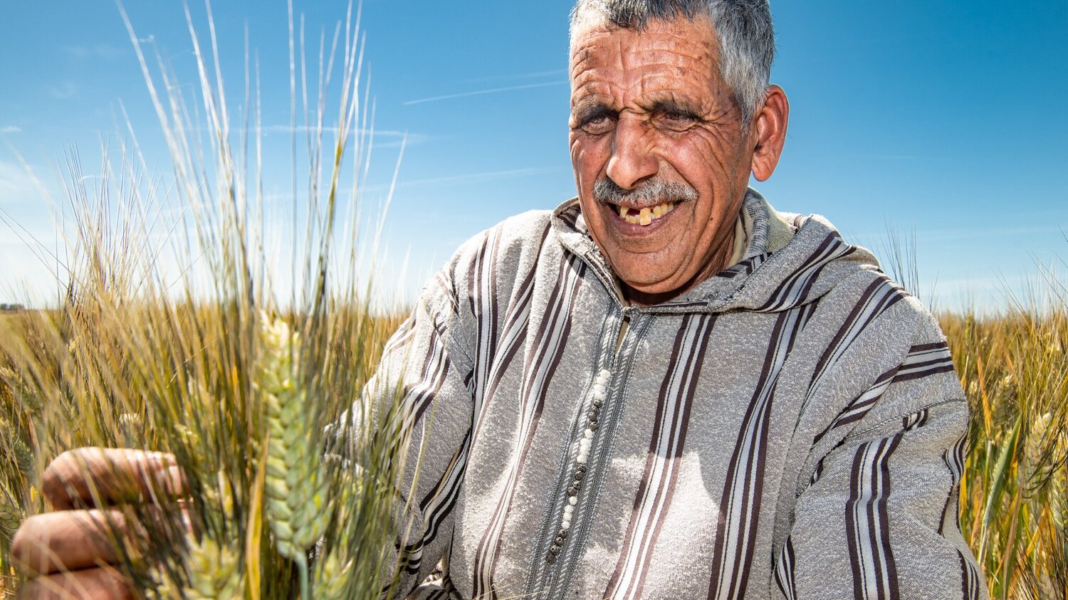Farmer with Jabal in Morocco
