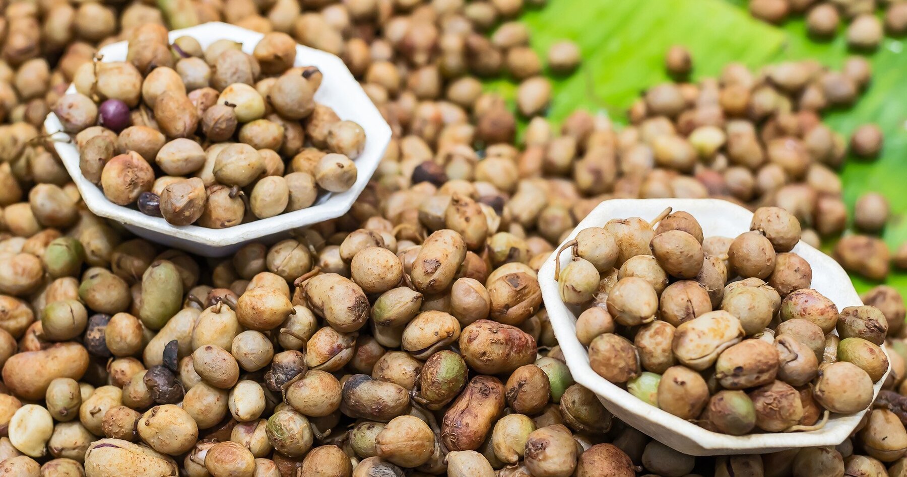 Bambara Groundnut Crop Wild Relatives Bambara Groundnut Crop Wild Relatives