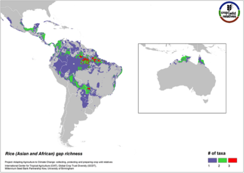 Rice gap richness